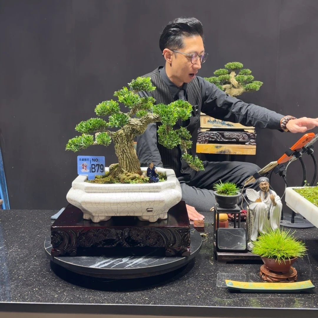 以实际为准黄杨室内