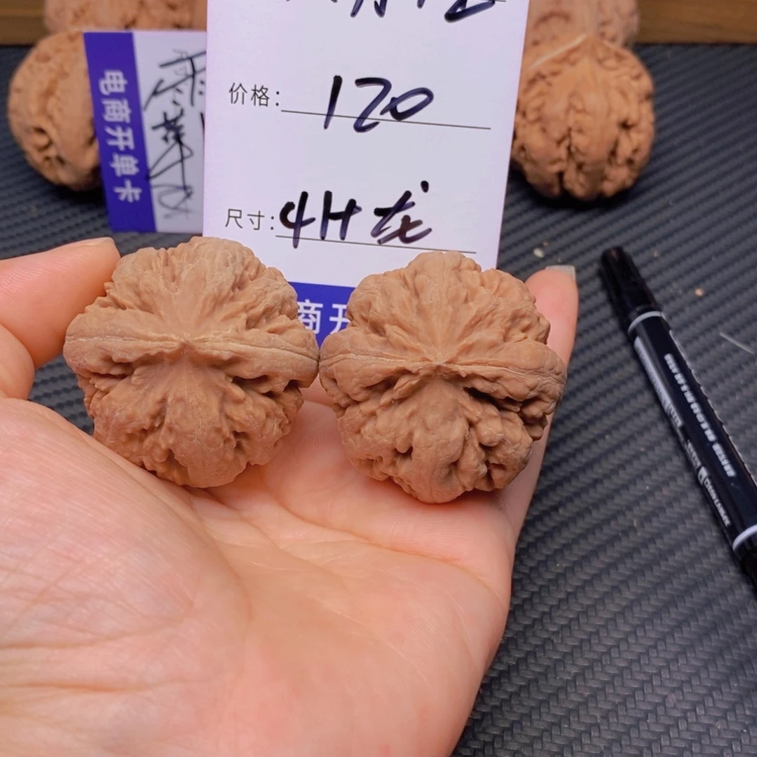 文玩核桃霸王龙核桃