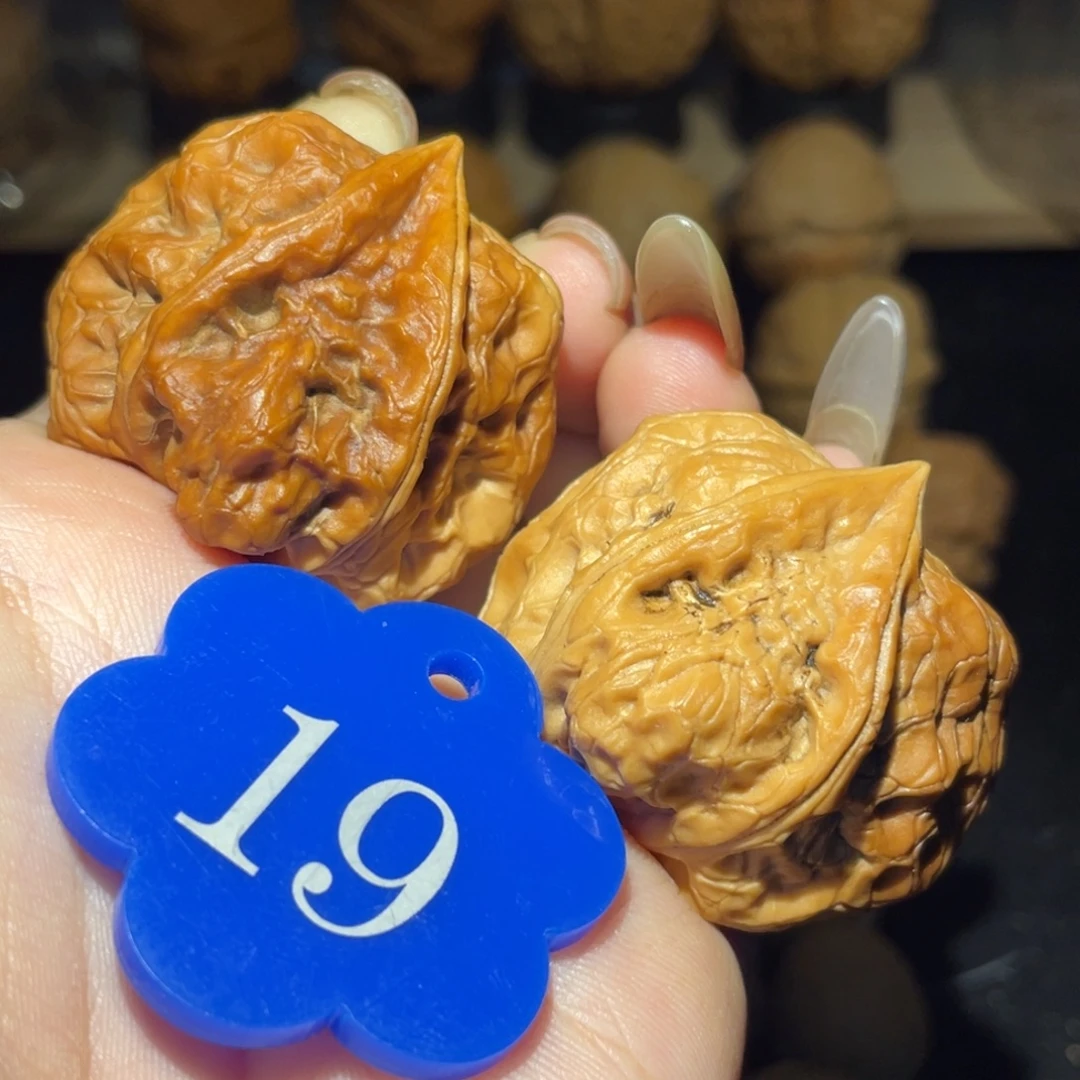 生命38尺寸核桃。