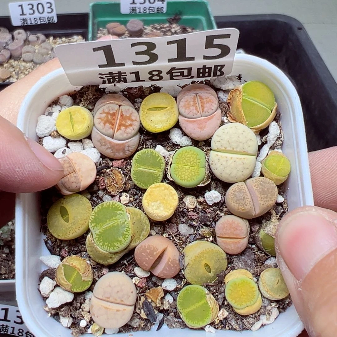 【闪购商品】1315……