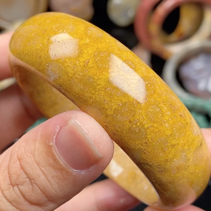 未镶嵌手镯硅化玉56