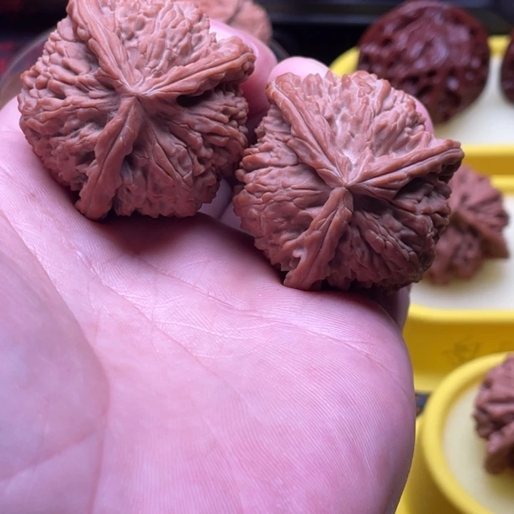 核桃白狮子 三棱 全品无修