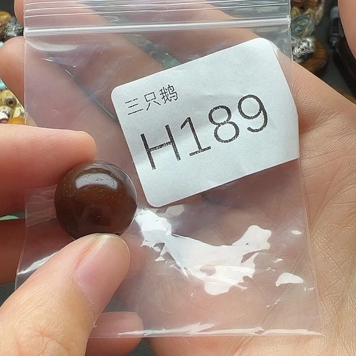 菩提根/象牙果吊坠