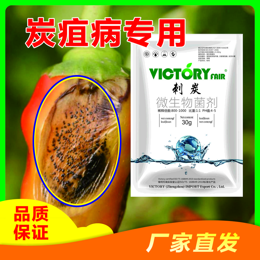 刺炭正品炭疽黑斑黑痘黑星锈病疮痂白腐葡萄草莓炭狙病