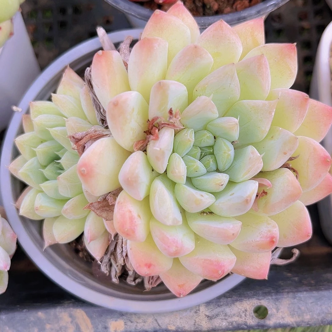 34号888888888998889999