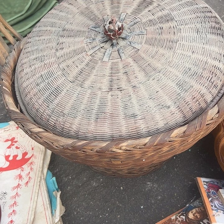 杂色豆（科檀/科特迪瓦檀木）游***蚁