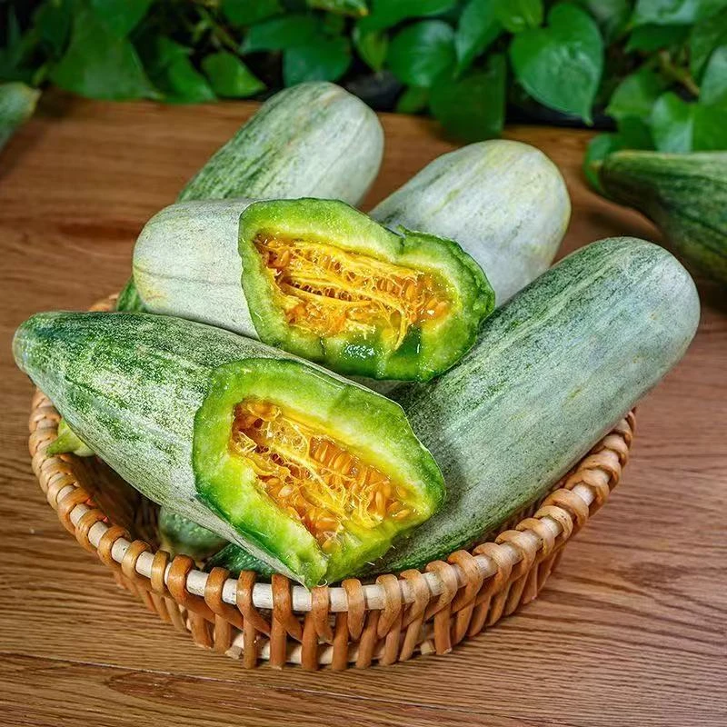 Y山东羊角蜜甜瓜脆甜多汁新鲜当季水果