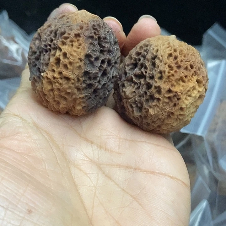 木质类云南铁核桃基地91