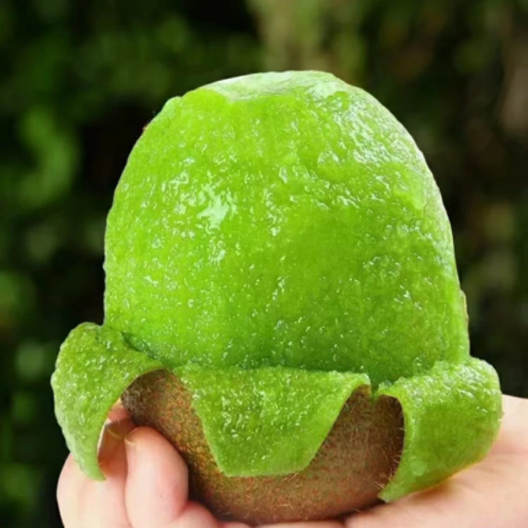 小蜜蜂猕猴桃一盒450