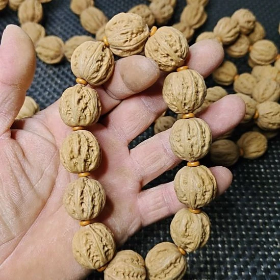木质类纯野生山核桃