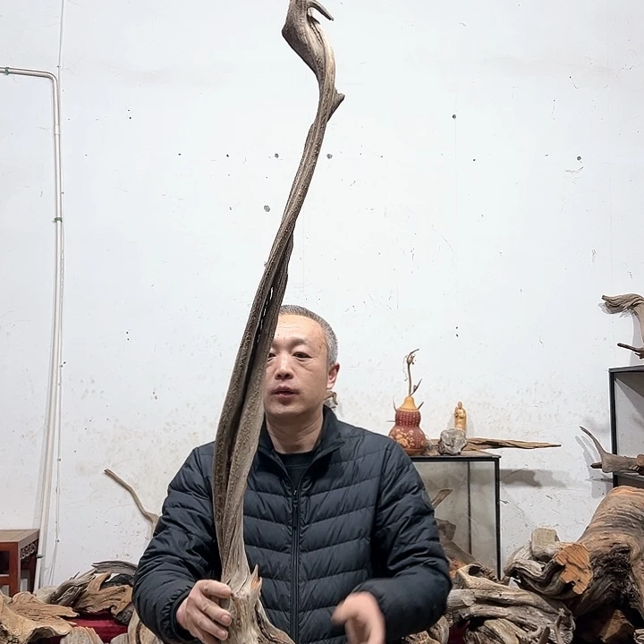 柏木杨**e我们都是好孩子呀我也