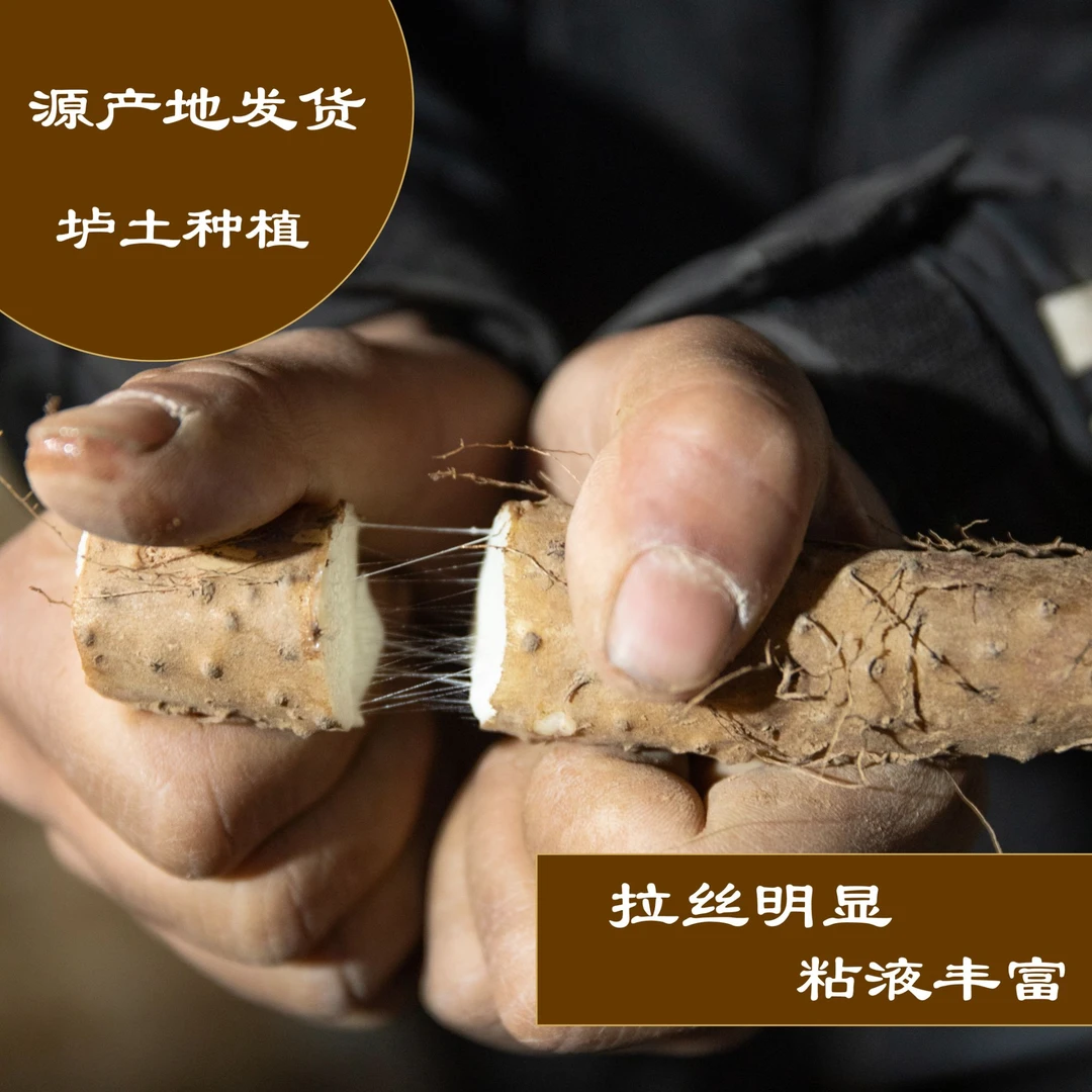 铁棍山药正宗怀山药温县原产地垆土地健康品质农产品3斤-5斤净重
