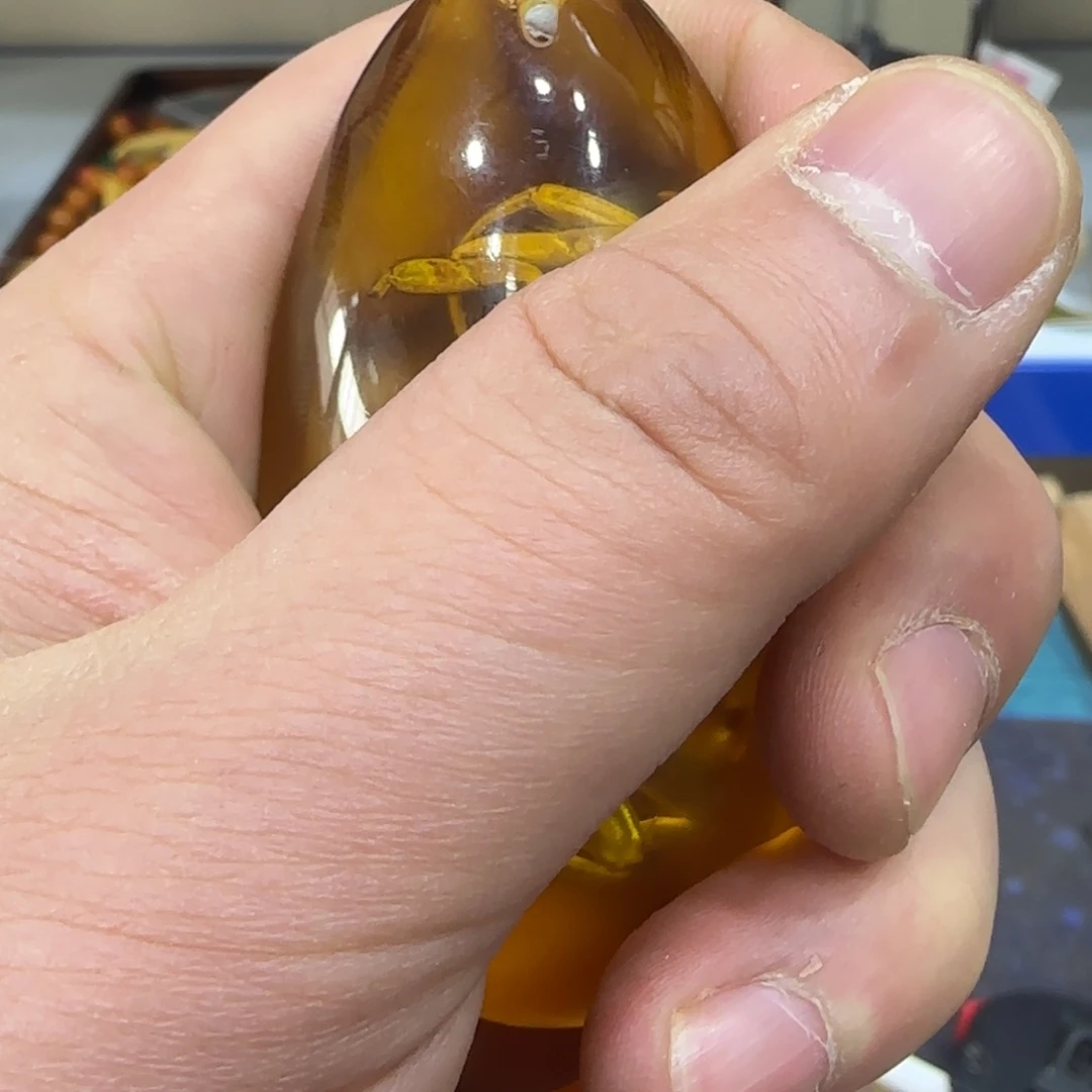 茶宠我们的生活是这样的
