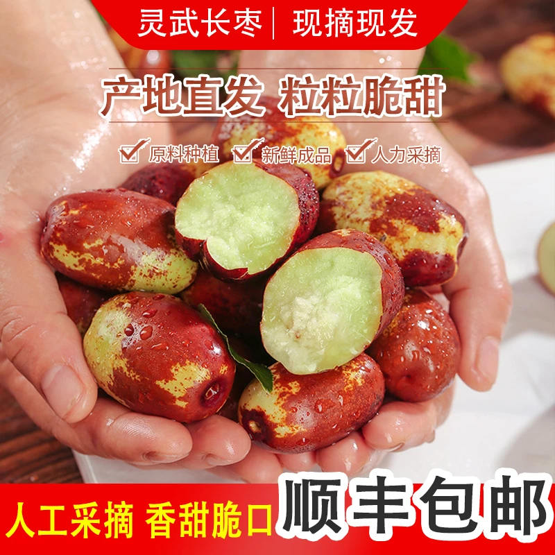 【顺丰包邮】灵武长枣 中秋送礼宁夏特产新鲜应季脆甜皮薄肉厚