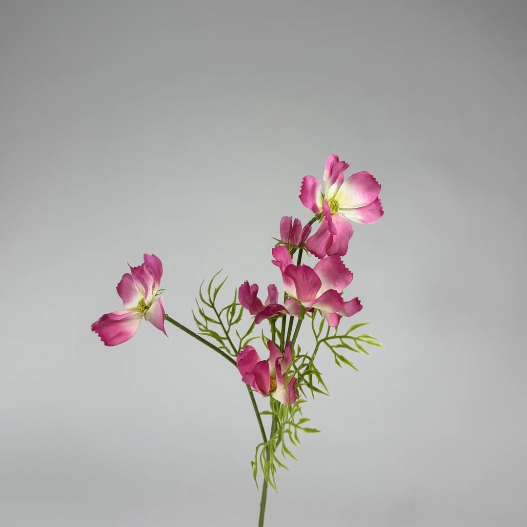 2025最新款多头小格桑10枝