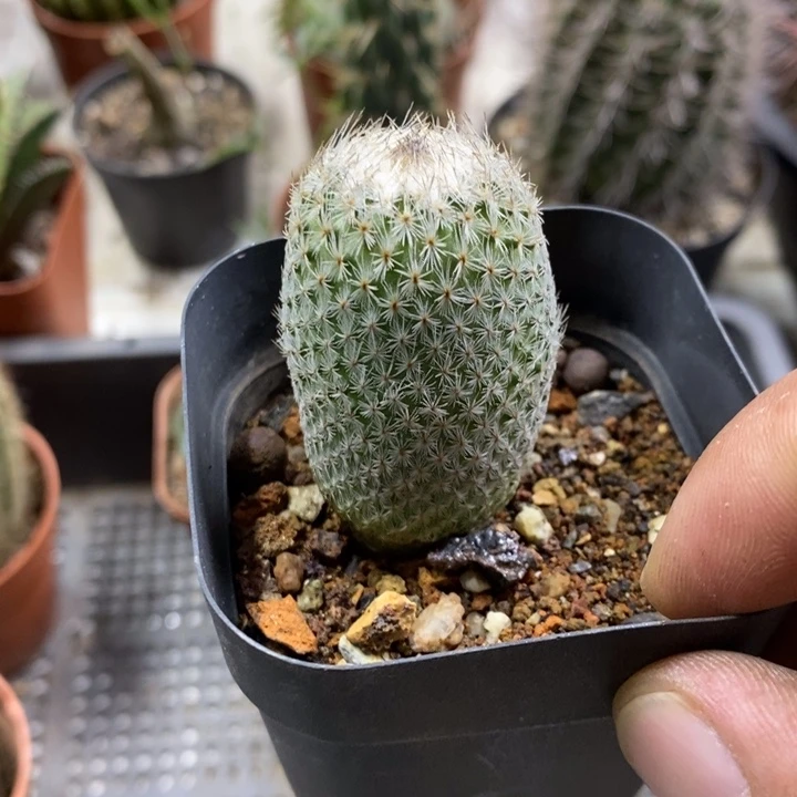 月世界特价福利特价