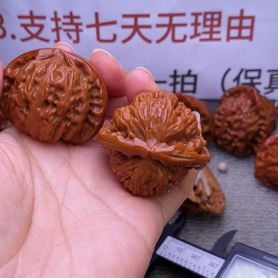 木质类白狮子42。