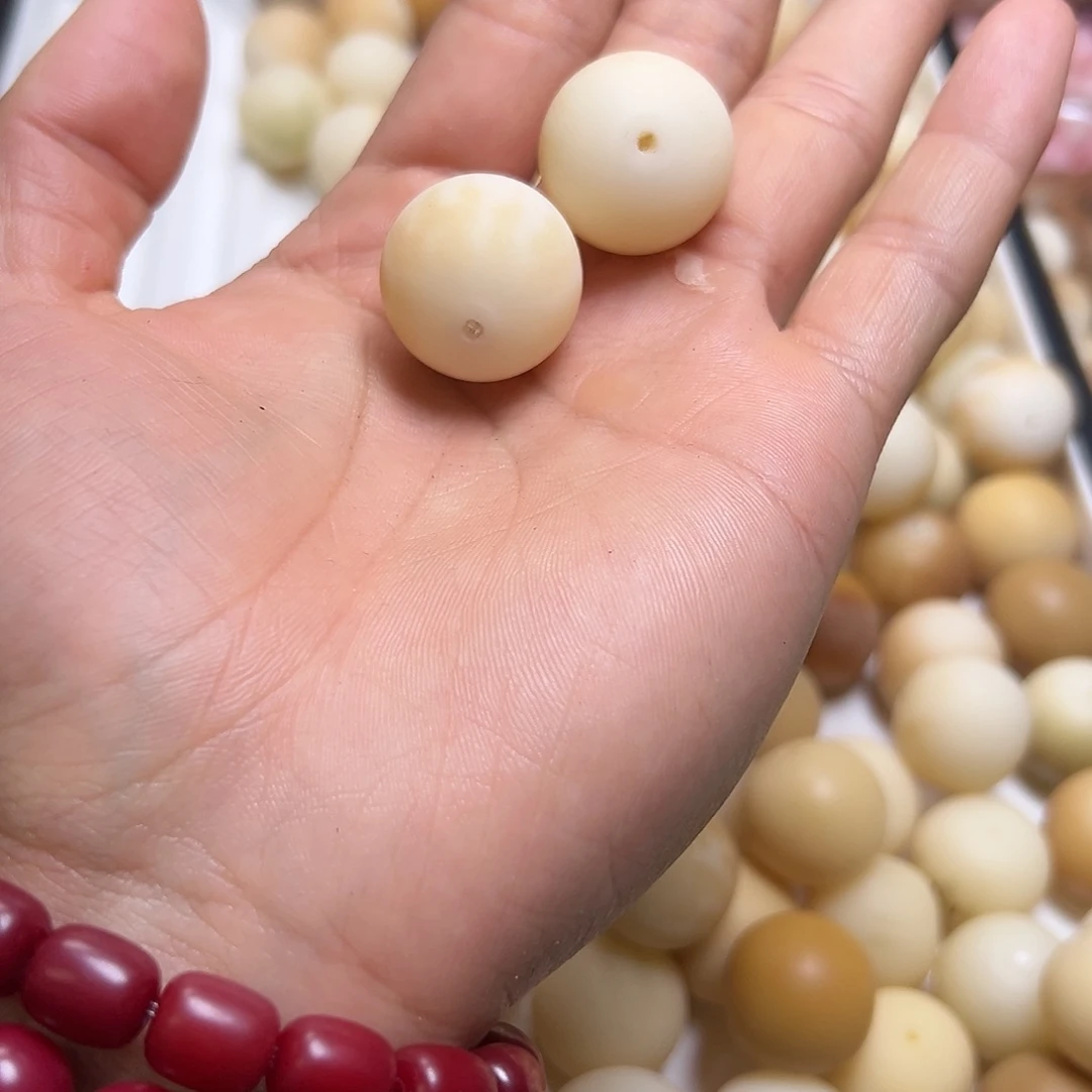 菩提根/象牙果吊坠别****！卡23 2颗