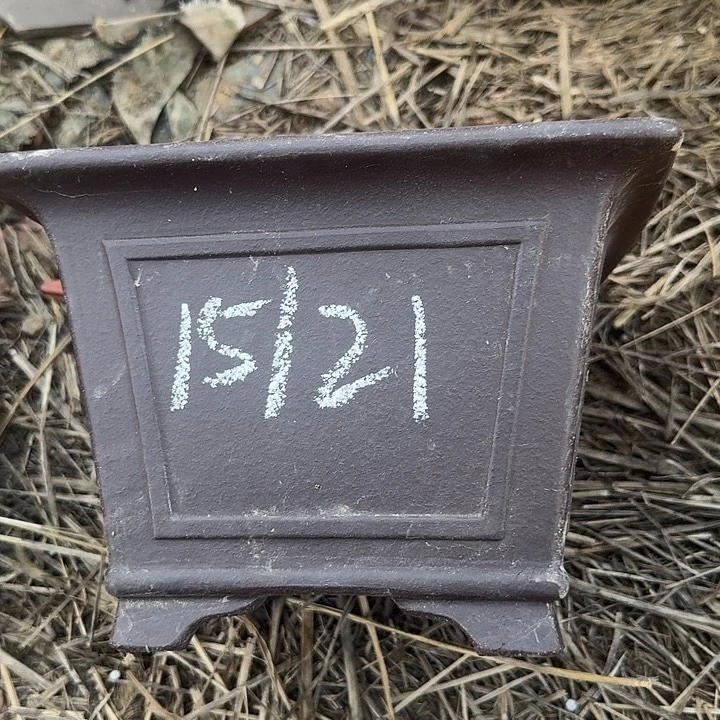 紫砂杯及红陶瓷茶壶都能使用