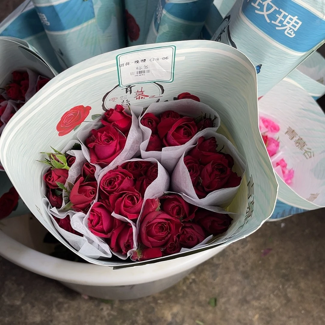 全部花苞青幕谷（晚樱）一扎