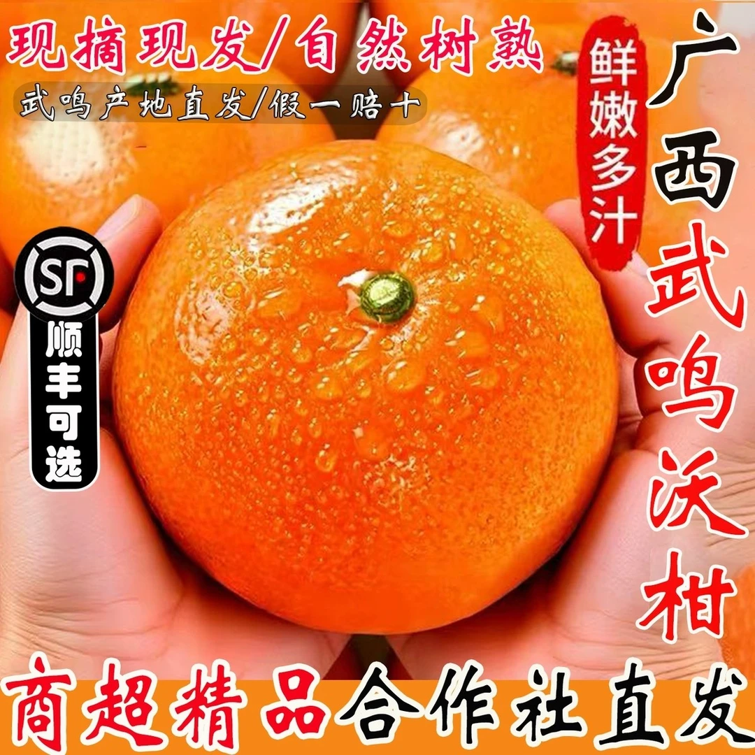 正宗广西武鸣沃柑新鲜橘子鲜嫩柑橘香甜多汁当季新鲜水果产地直发