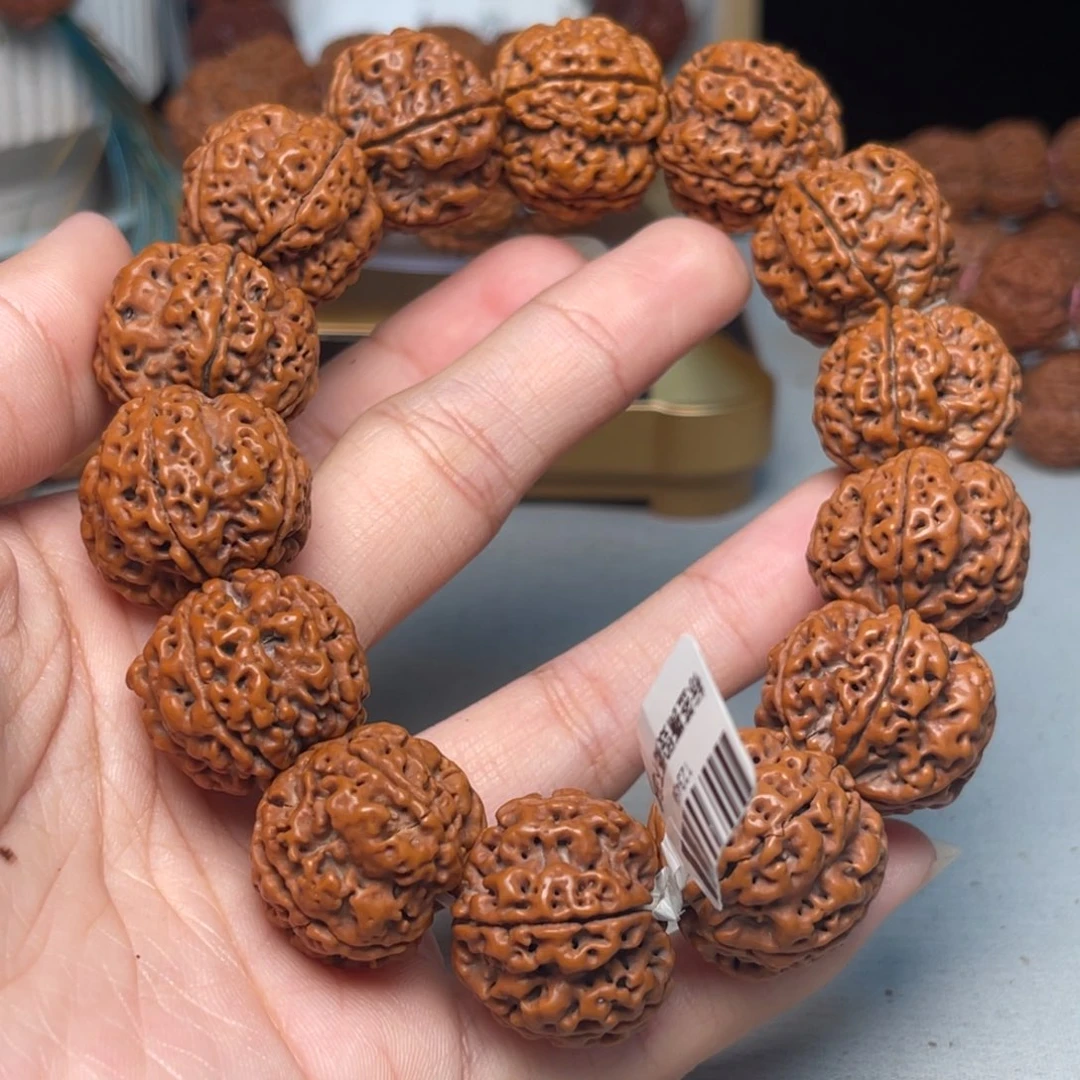 海***啸手串金刚菩提原生态大金刚菩提