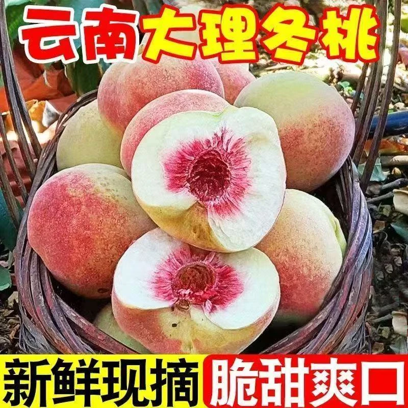 新正宗云南冬桃桃香浓郁现摘现发应季水果整箱发货