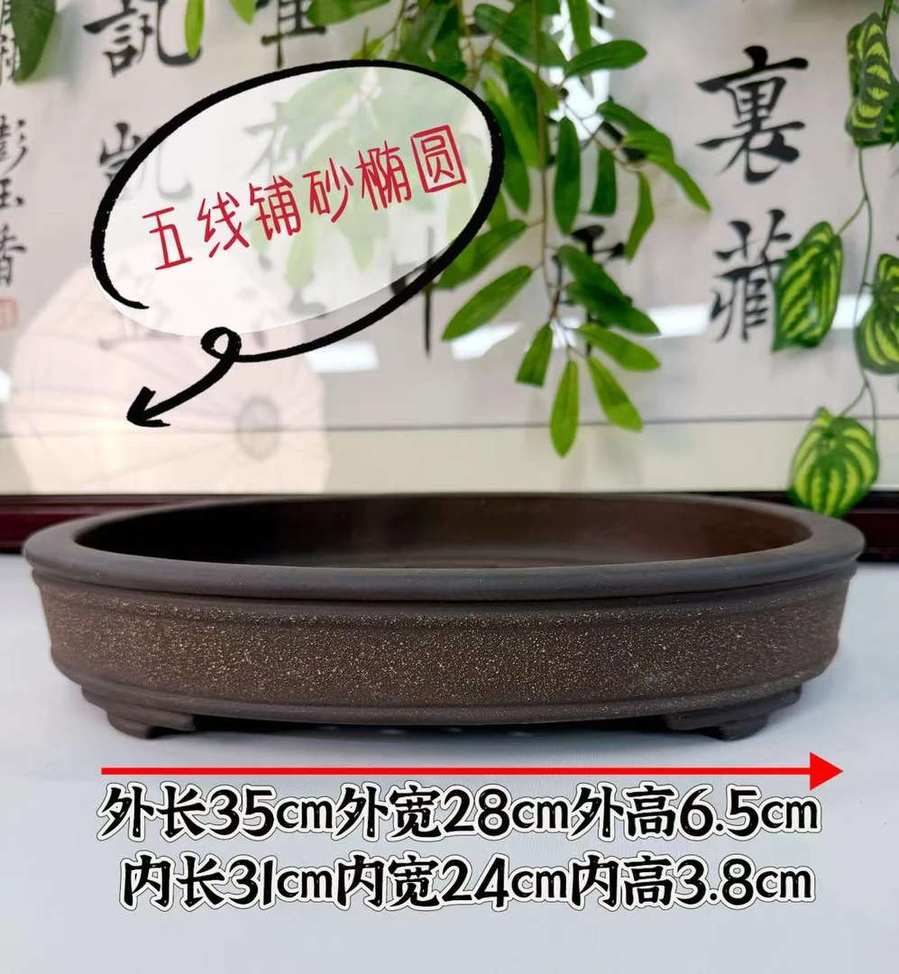 宜兴紫砂铺沙浅椭圆盆景盆金弹梅花海棠松柏老鸦柿桌面室内