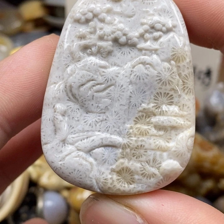 硅化珊瑚（珊瑚玉）未镶嵌颈饰