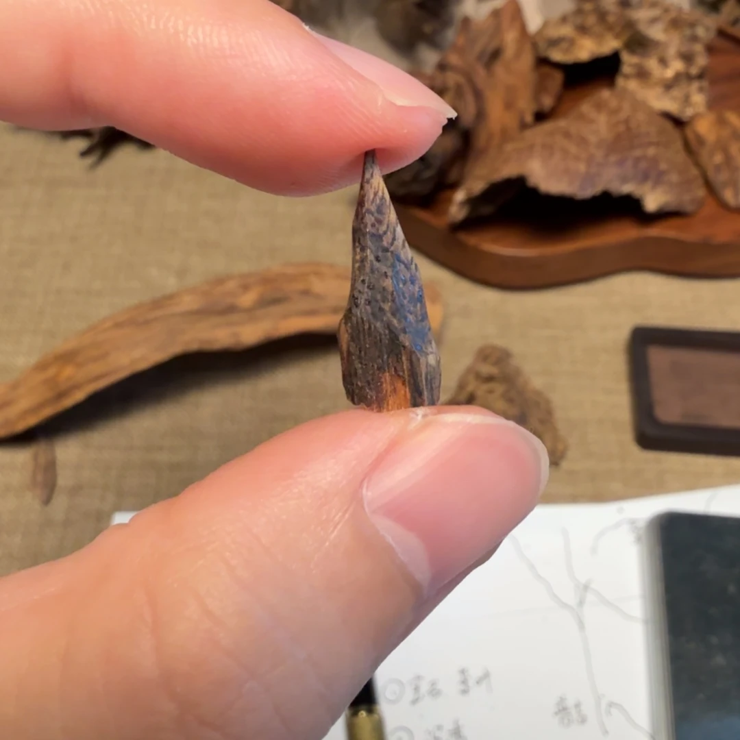 沉香斯里兰卡小瓜子料