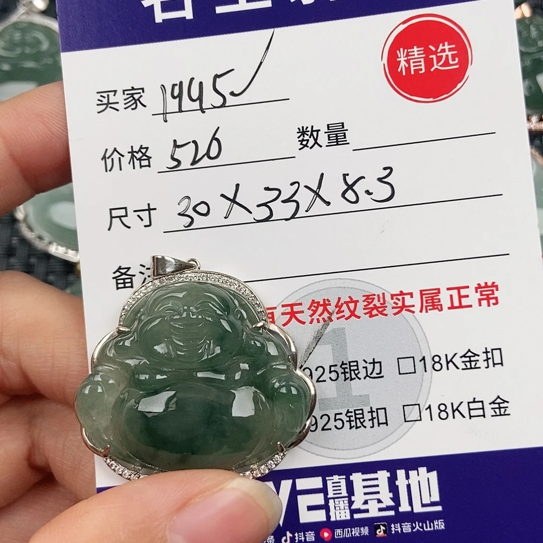 1***。翡翠银S925镶嵌颈饰