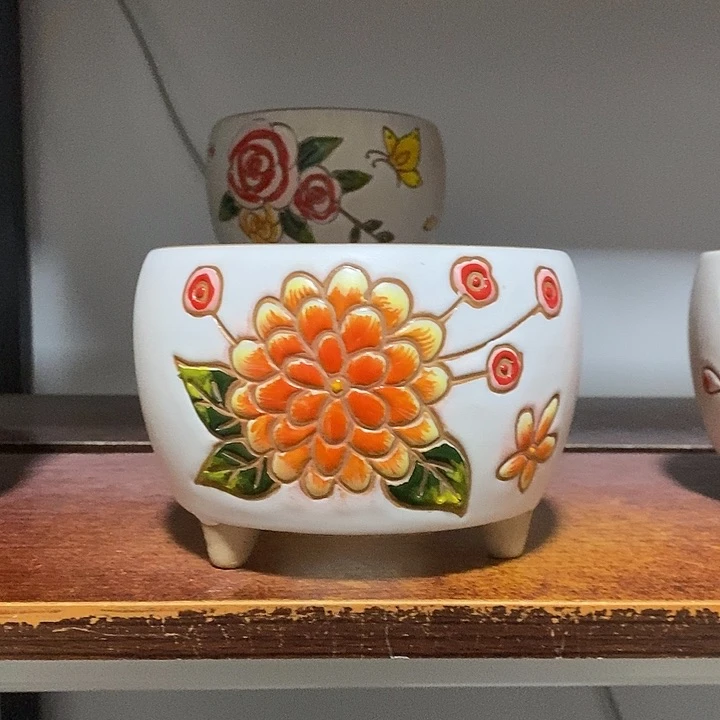 韩式多肉植物花盆