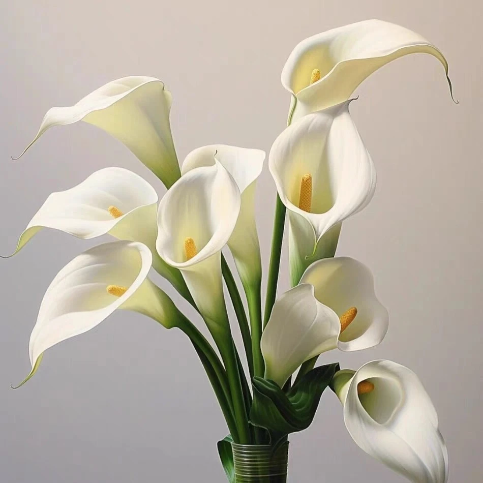 【AAA级】【稀有】马蹄莲手捧花典雅高贵奢华 云南基地直发