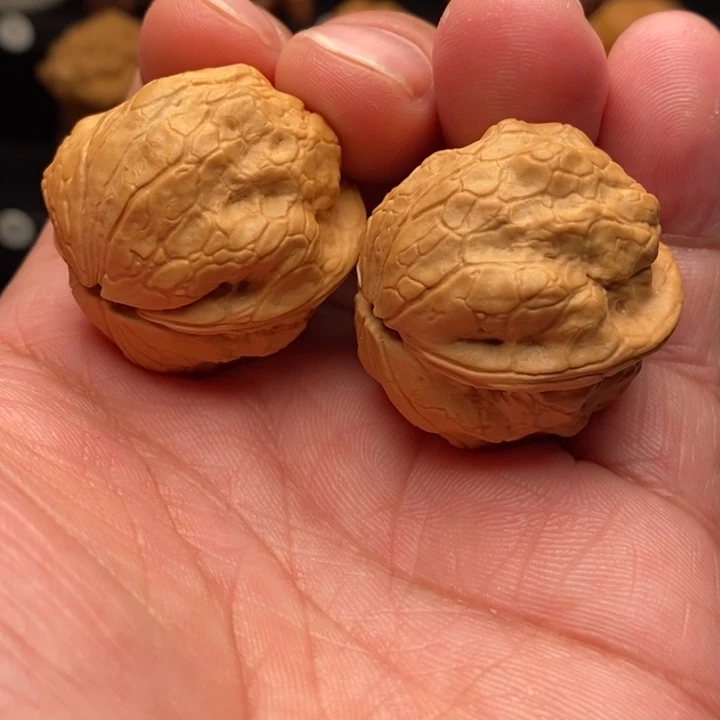 文玩核桃把件1大鹦鹉铁蛤蟆