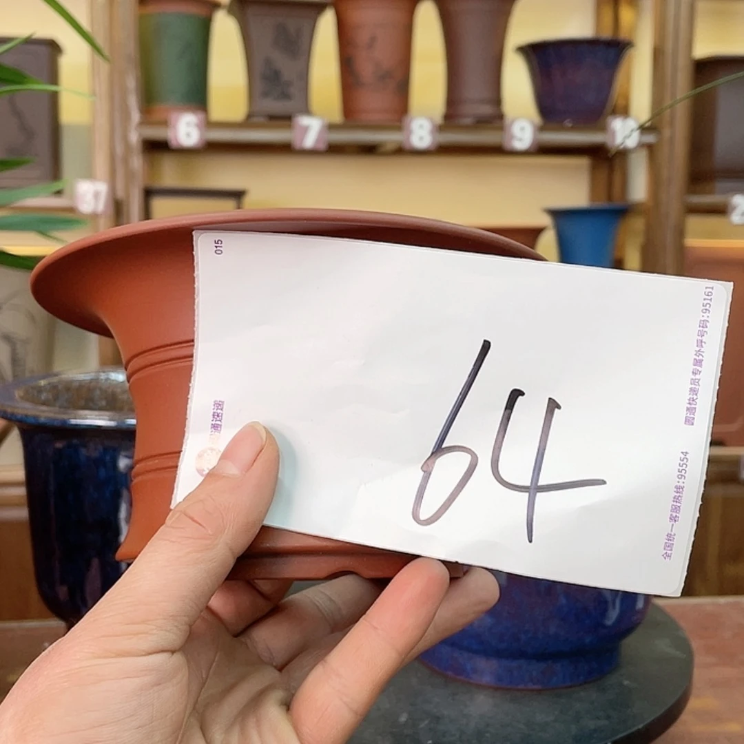 【闪购商品】紫砂花盆白*兰花755555547722585888