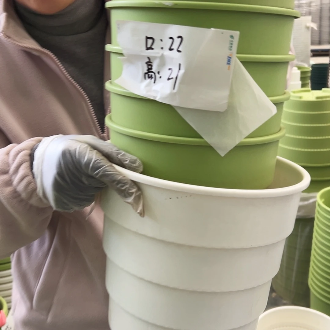 多孔3#白色5个（含托盘）