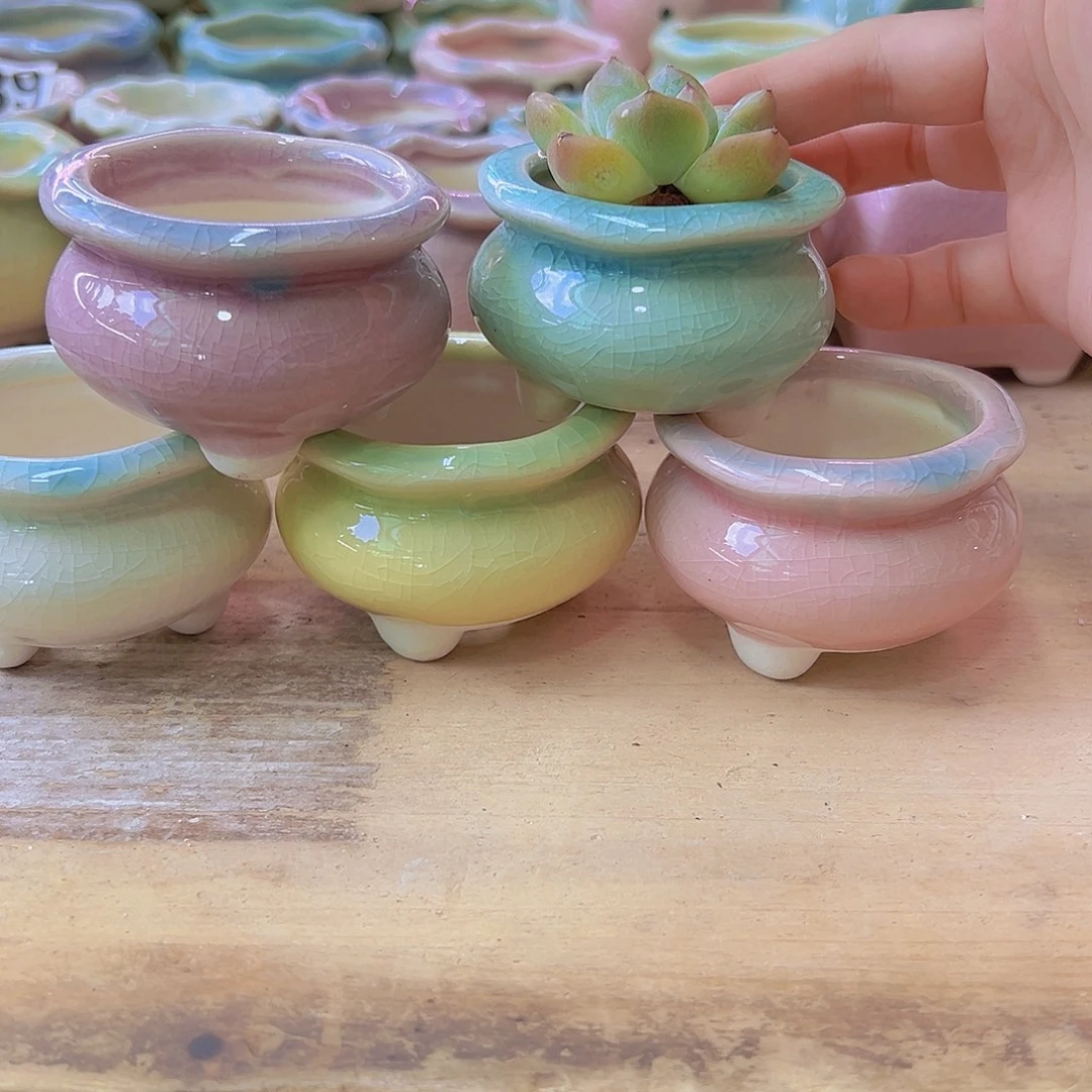 陶瓷花盆当场凑满12包邮