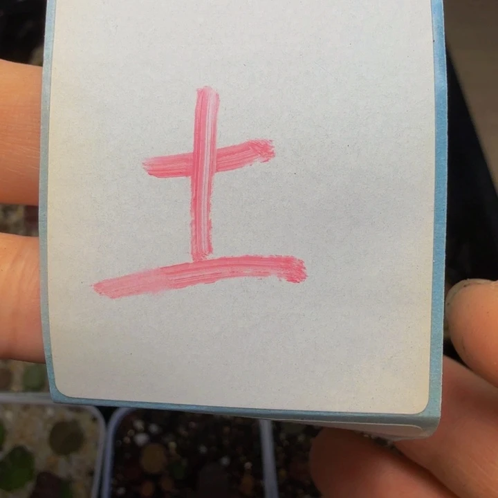 土土土土土土土土