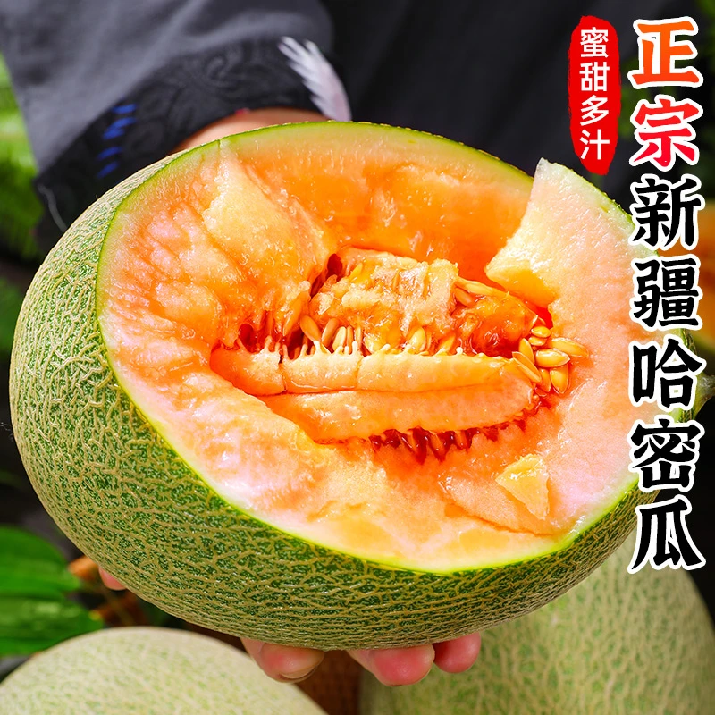 【蜜甜多汁】正宗新疆哈密瓜6-9斤脆甜网纹瓜香瓜甜瓜新鲜应季水果