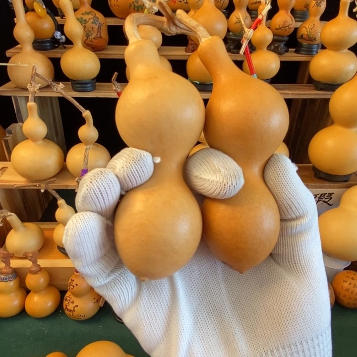 葫芦娃兄弟姐妹情