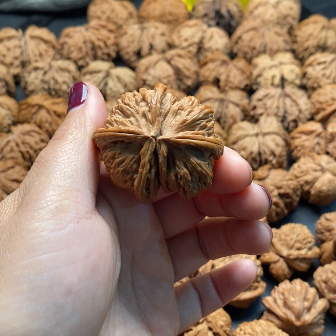 把件文玩核桃45白狮子连体