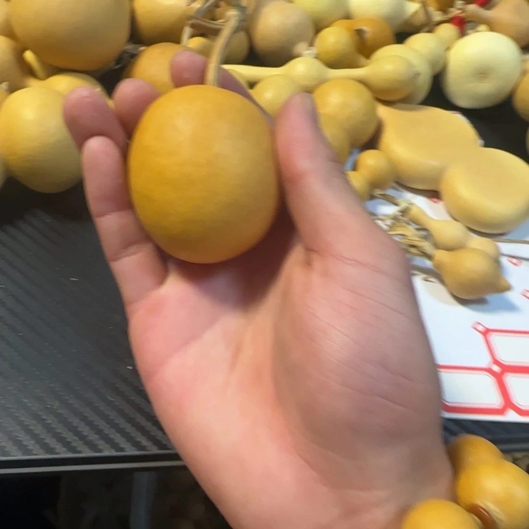 两***子有机玻璃葫芦葫芦葫芦葫芦