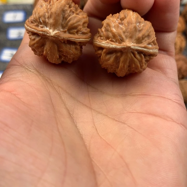 粗筋。