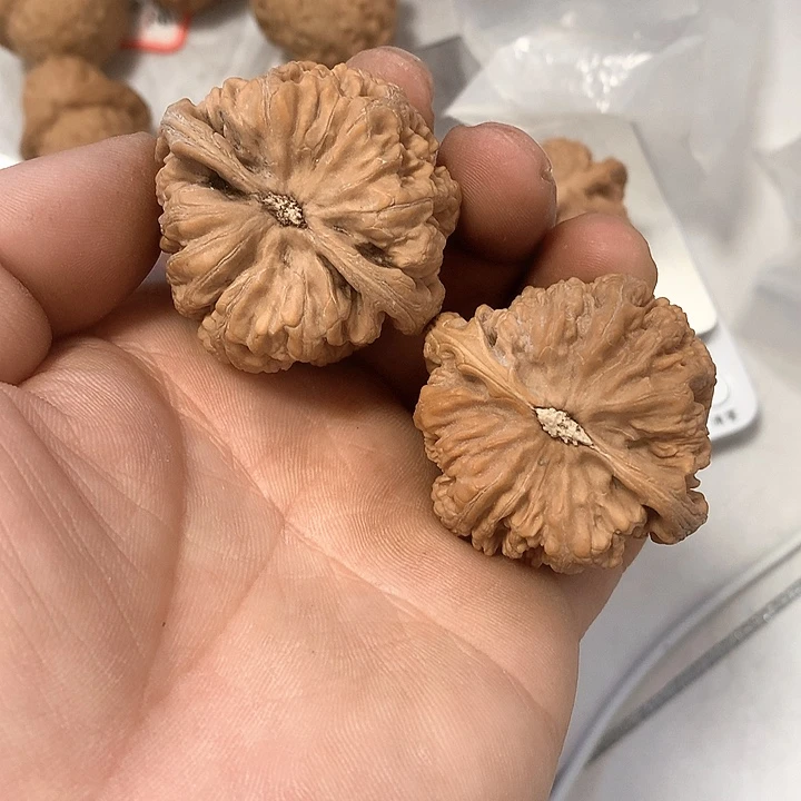 永**败大粗筋大粗筋大粗筋108