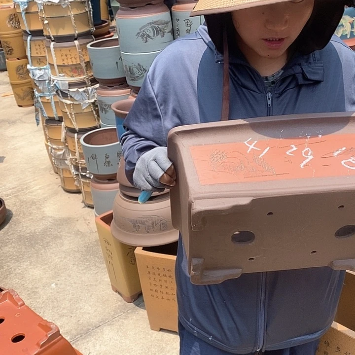 紫砂花盆盆栽花卉苗木种植