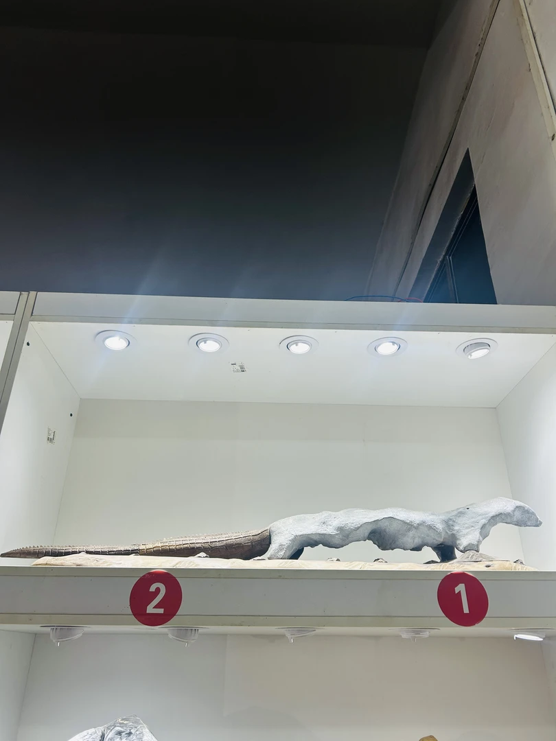 灵璧石摆件 灵璧石像形石摆件 灵璧石象形商业巨鳄