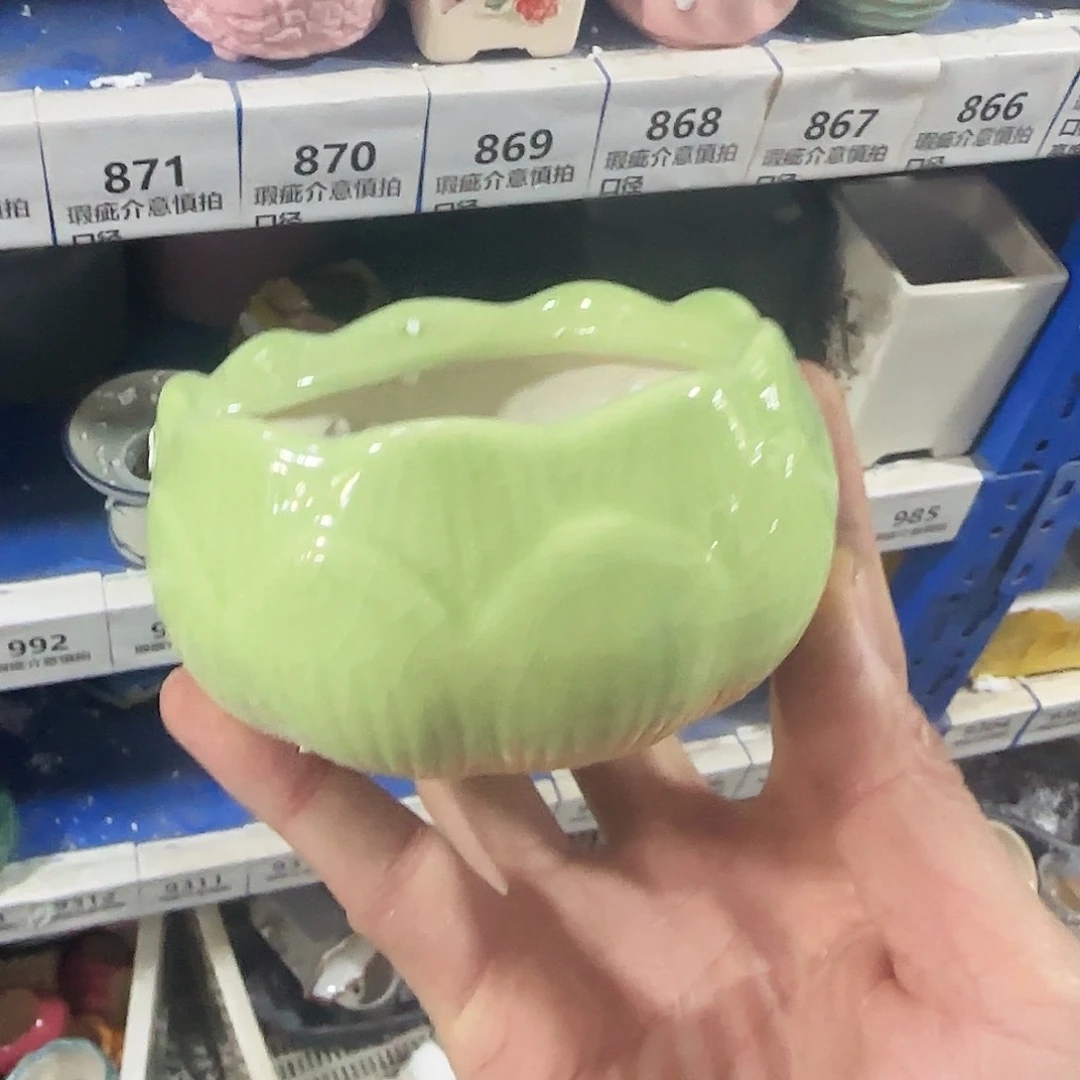 特价盆·天姿添香·福利局·凑9元发·865