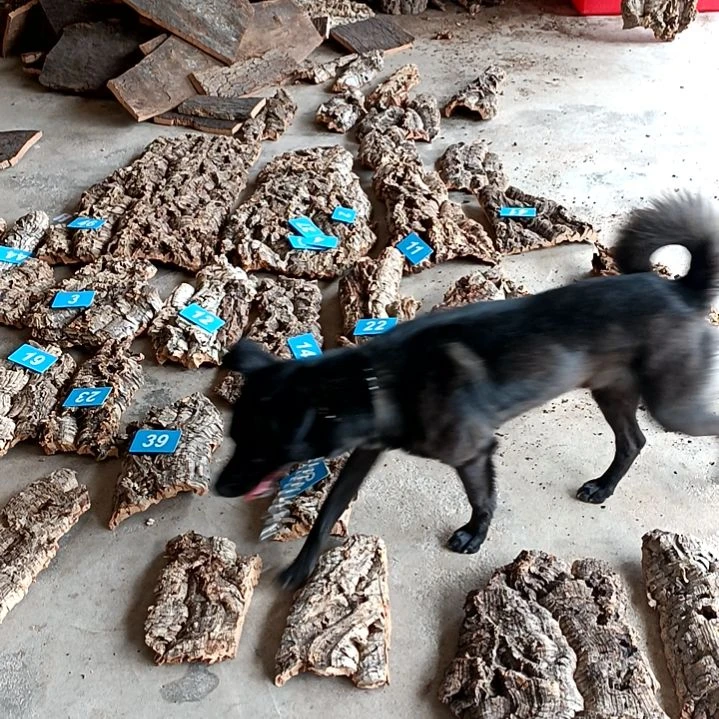 完全开放一物一拍一物一发