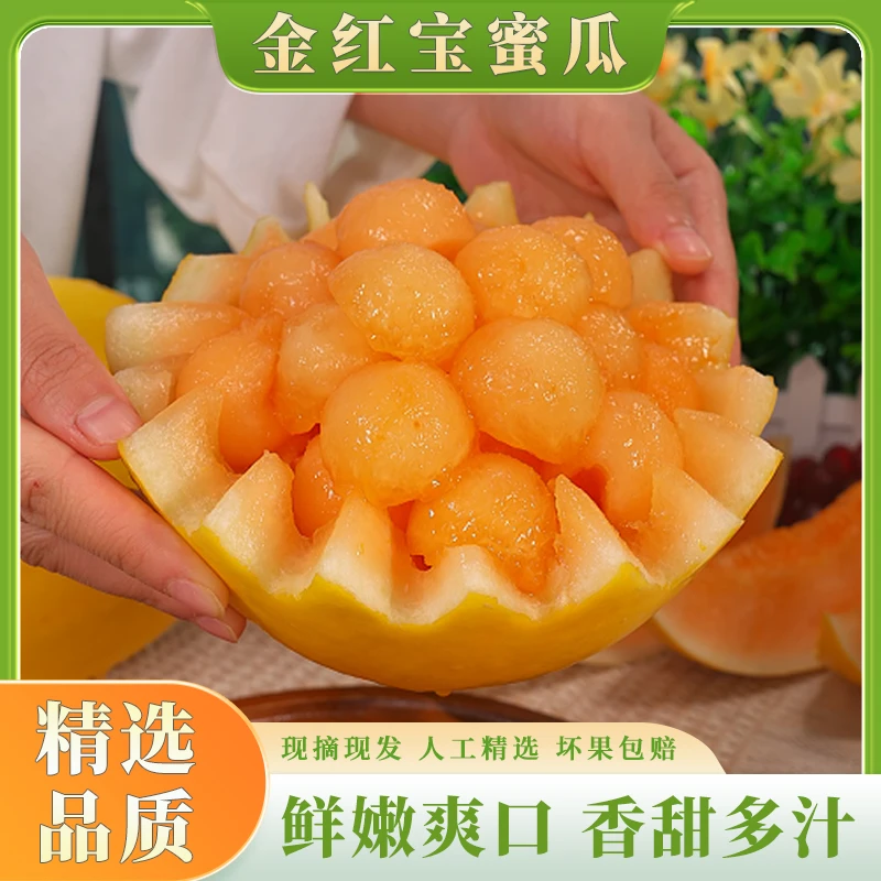 金红宝密瓜新鲜应季水果民勤沙漠蜜瓜香甜多汁现摘现发精选2个起