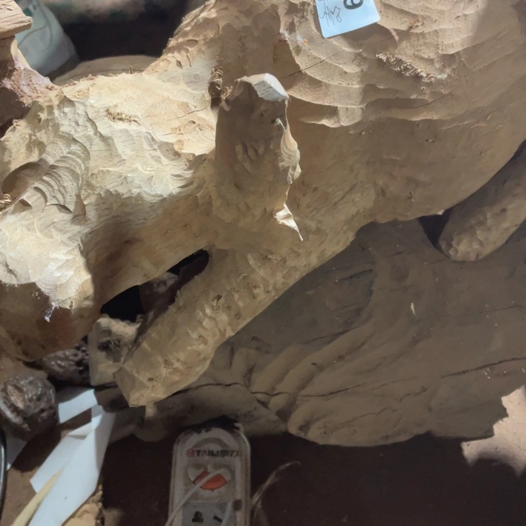 风车木（黑檀木）舟*112345